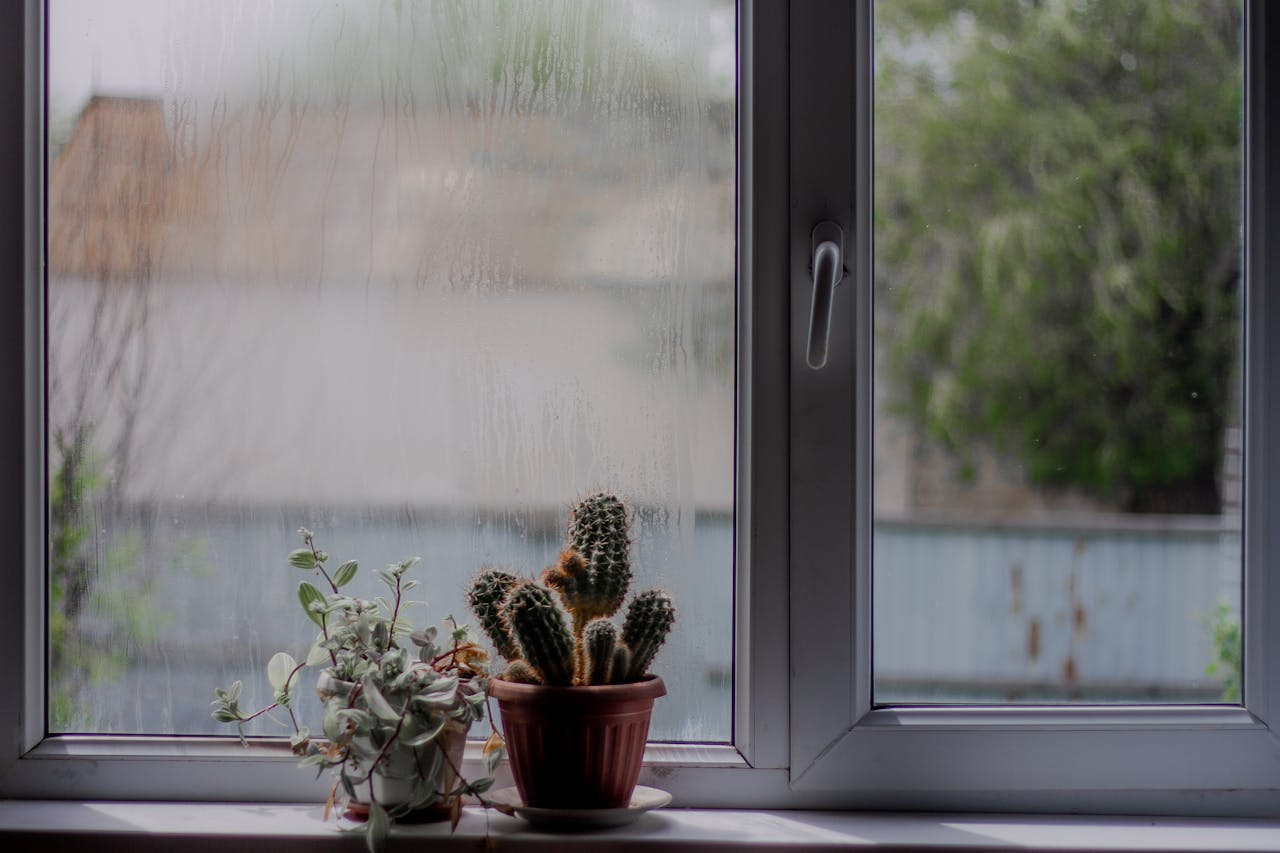 sticky indoor air quality after rain